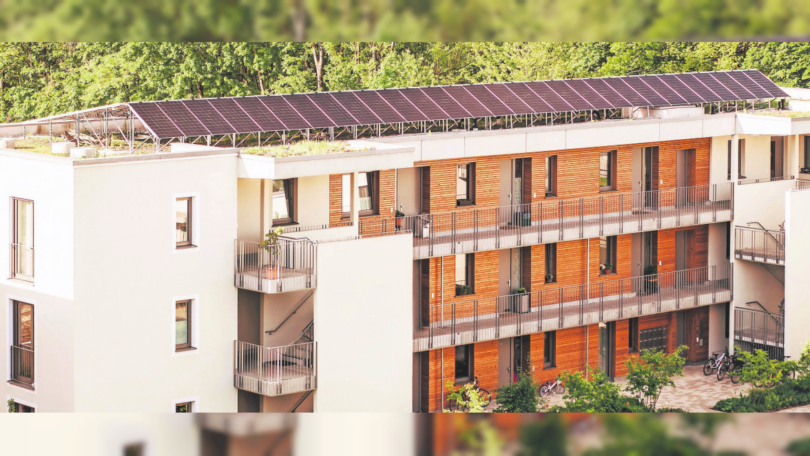 INTERVIEW MARKUS GELDERBLOM &ndash; Hauptgesch&auml;ftsf&uuml;hrer von Haus & Grund Bonn/Rhein-Sieg: &bdquo;Viel zu kompliziert und risikoreich&ldquo;